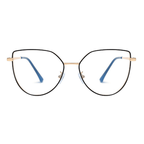 Óculos Clip On 2 em 1 - Titan